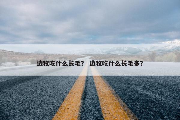 边牧吃什么长毛？ 边牧吃什么长毛多？