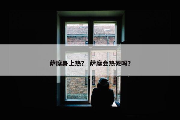 萨摩身上热？ 萨摩会热死吗？