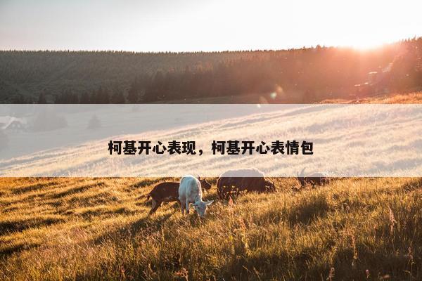 柯基开心表现，柯基开心表情包