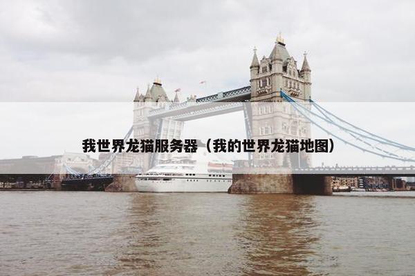 我世界龙猫服务器（我的世界龙猫地图）