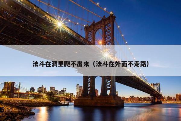 法斗在洞里爬不出来（法斗在外面不走路）