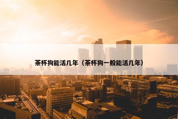 茶杯狗能活几年（茶杯狗一般能活几年）
