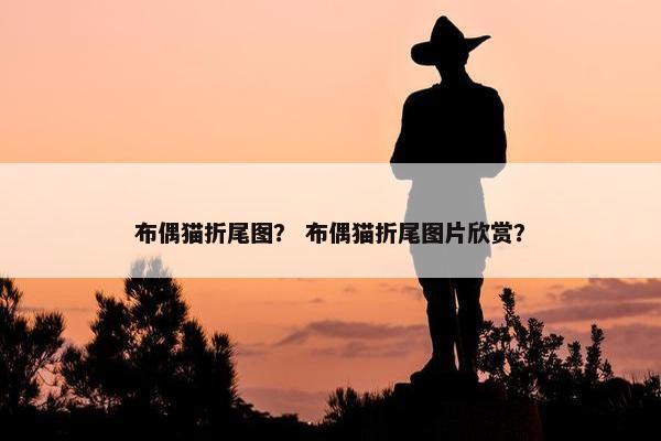 布偶猫折尾图？ 布偶猫折尾图片欣赏？
