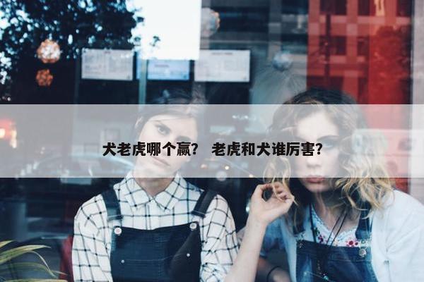犬老虎哪个赢？ 老虎和犬谁厉害？