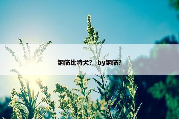 钢筋比特犬？ by钢筋？
