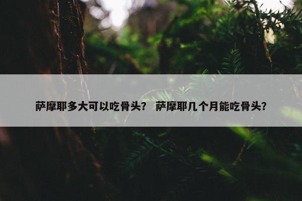 萨摩耶多大可以吃骨头？ 萨摩耶几个月能吃骨头？