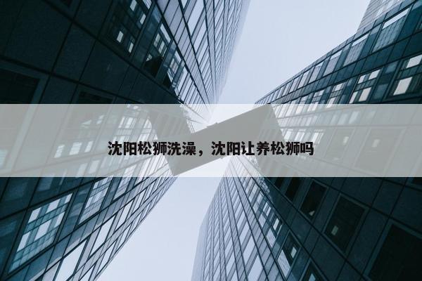 沈阳松狮洗澡，沈阳让养松狮吗