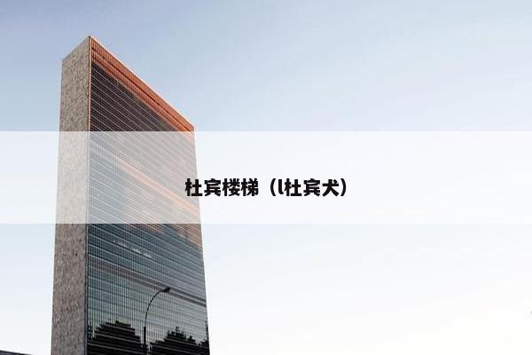 杜宾楼梯（l杜宾犬）