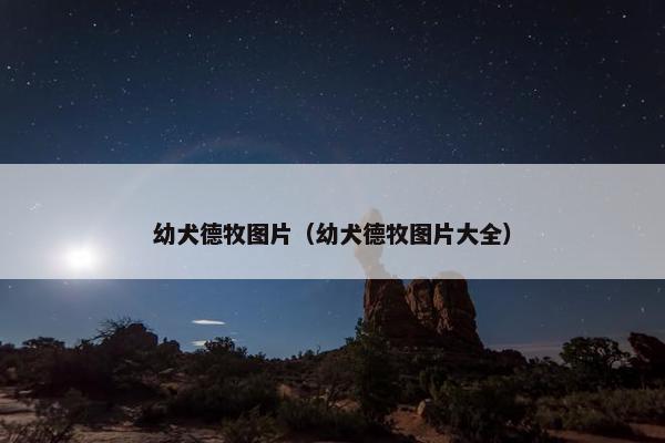 幼犬德牧图片（幼犬德牧图片大全）