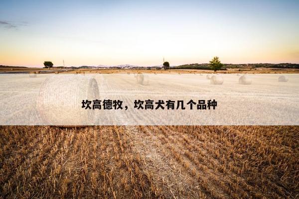 坎高德牧，坎高犬有几个品种