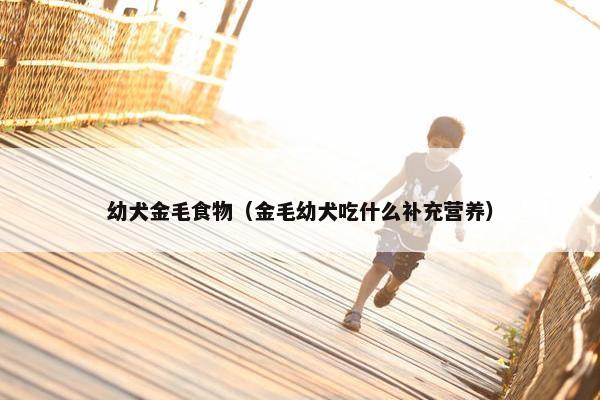 幼犬金毛食物（金毛幼犬吃什么补充营养）