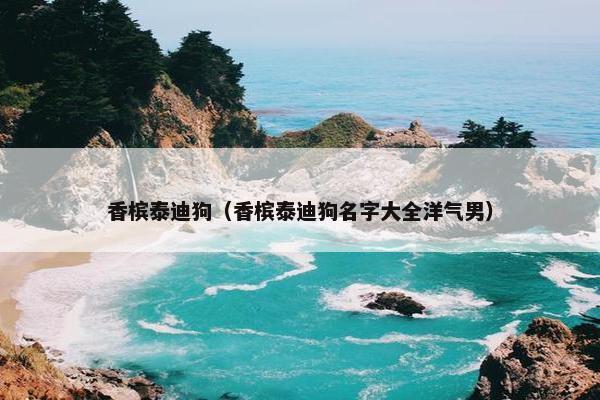 香槟泰迪狗（香槟泰迪狗名字大全洋气男）