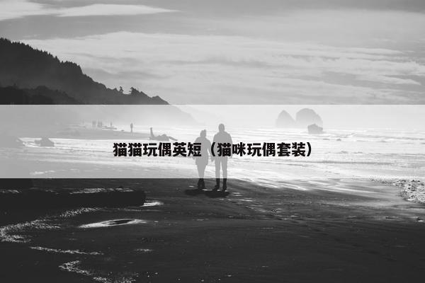 猫猫玩偶英短（猫咪玩偶套装）