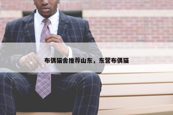 布偶猫舍推荐山东，东营布偶猫