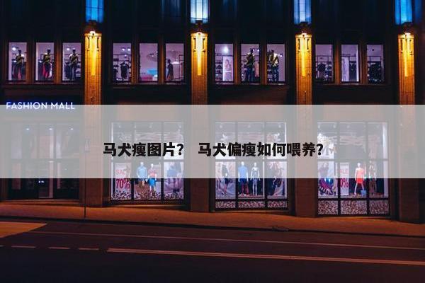 马犬瘦图片？ 马犬偏瘦如何喂养？