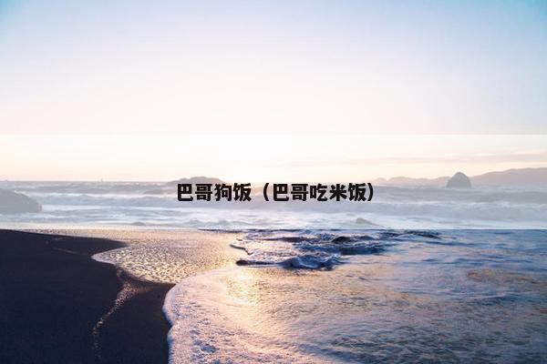 巴哥狗饭（巴哥吃米饭）