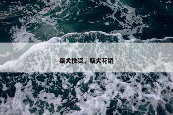 柴犬投资，柴犬花销