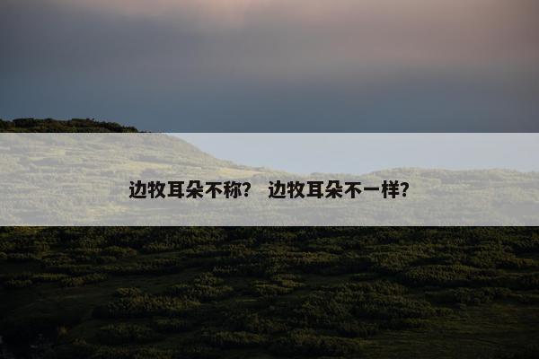 边牧耳朵不称？ 边牧耳朵不一样？