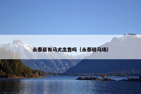 永泰县有马犬出售吗（永泰骑马场）