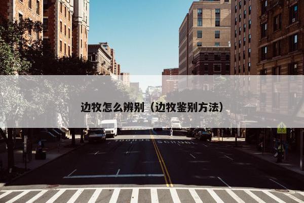 边牧怎么辨别（边牧鉴别方法）