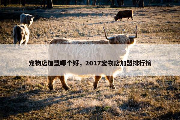 宠物店加盟哪个好，2017宠物店加盟排行榜