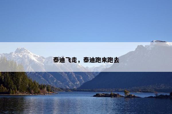 泰迪飞走，泰迪跑来跑去