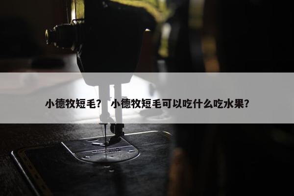 小德牧短毛？ 小德牧短毛可以吃什么吃水果？