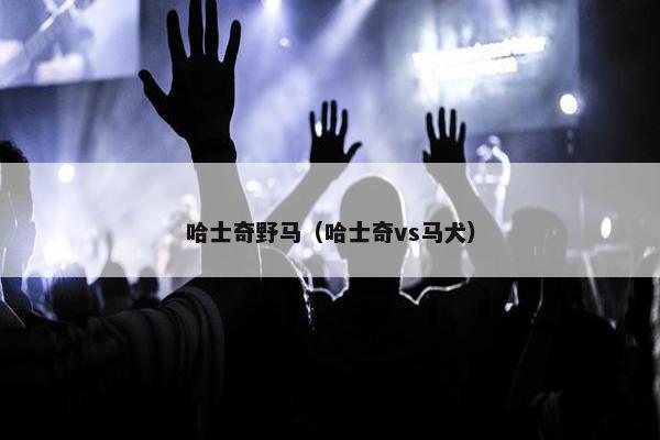 哈士奇野马（哈士奇vs马犬）