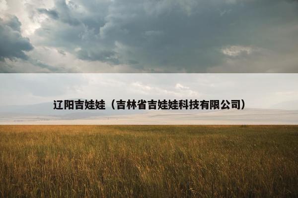 辽阳吉娃娃（吉林省吉娃娃科技有限公司）