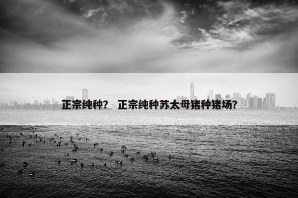 正宗纯种？ 正宗纯种苏太母猪种猪场？