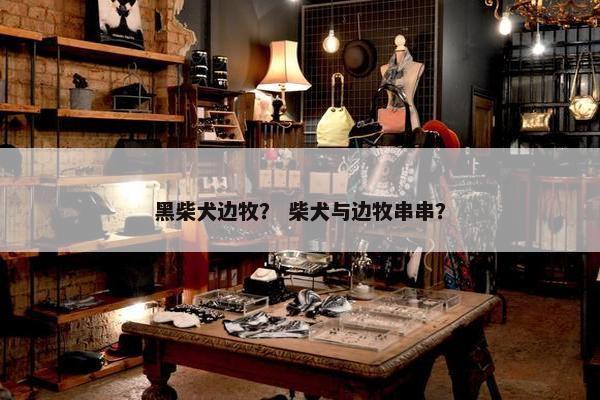 黑柴犬边牧？ 柴犬与边牧串串？