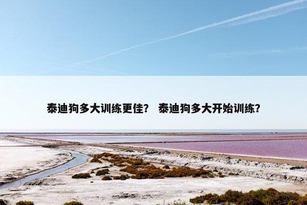 泰迪狗多大训练更佳？ 泰迪狗多大开始训练？