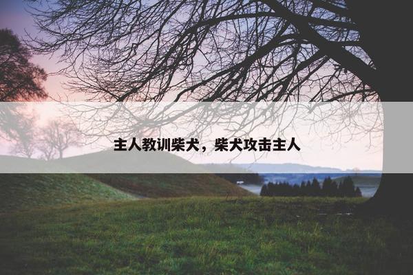 主人教训柴犬，柴犬攻击主人
