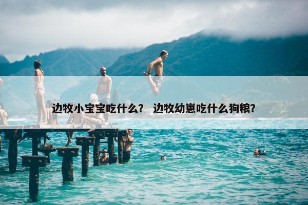边牧小宝宝吃什么？ 边牧幼崽吃什么狗粮？