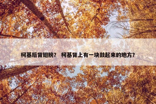 柯基后背翅膀？ 柯基背上有一块鼓起来的地方？