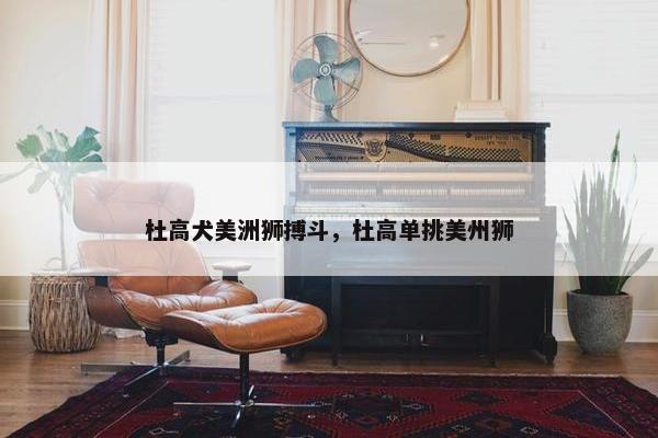 杜高犬美洲狮搏斗，杜高单挑美州狮