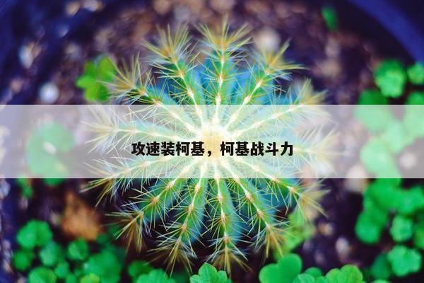 攻速装柯基，柯基战斗力