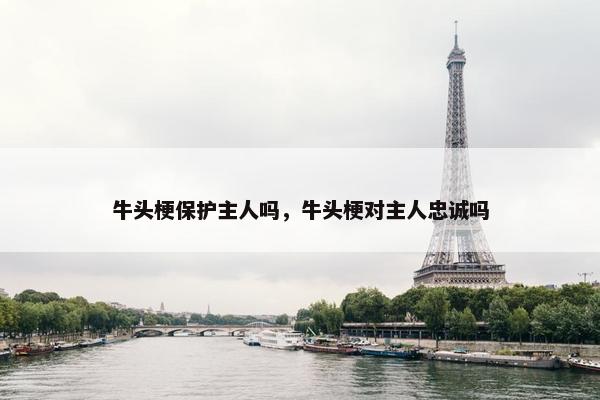 牛头梗保护主人吗，牛头梗对主人忠诚吗