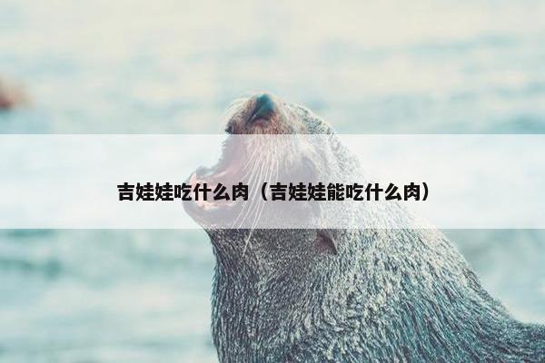 吉娃娃吃什么肉（吉娃娃能吃什么肉）