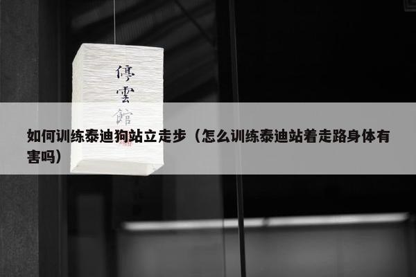如何训练泰迪狗站立走步（怎么训练泰迪站着走路身体有害吗）