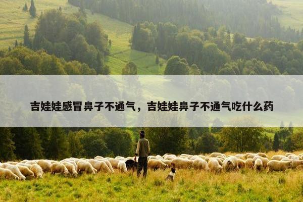 吉娃娃感冒鼻子不通气，吉娃娃鼻子不通气吃什么药