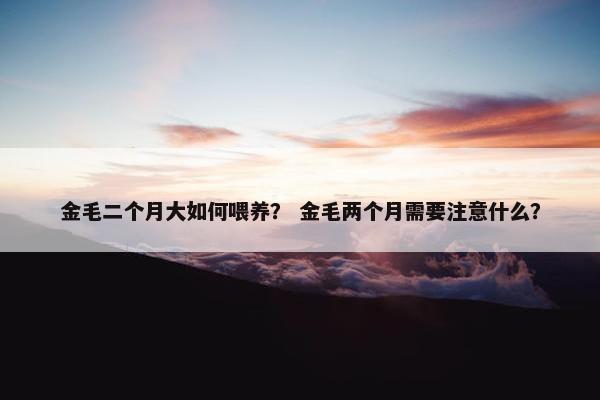 金毛二个月大如何喂养？ 金毛两个月需要注意什么？