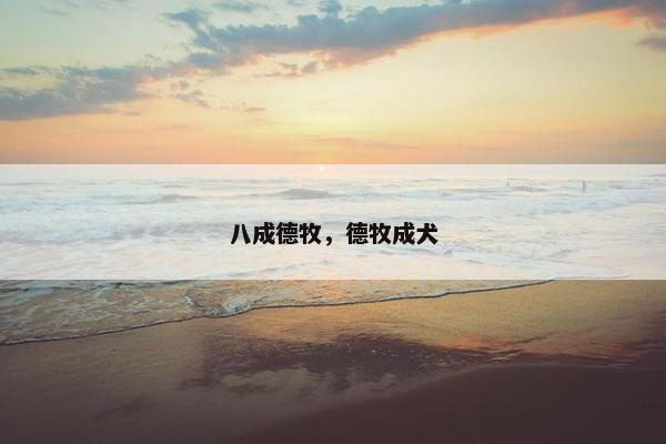 八成德牧，德牧成犬