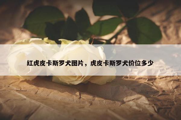 红虎皮卡斯罗犬图片，虎皮卡斯罗犬价位多少