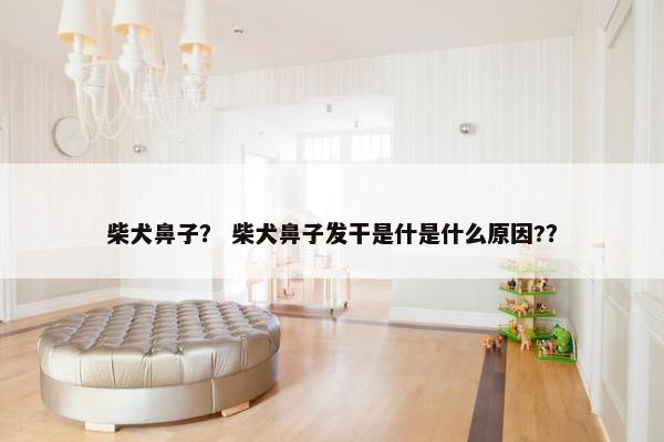 柴犬鼻子？ 柴犬鼻子发干是什是什么原因?？