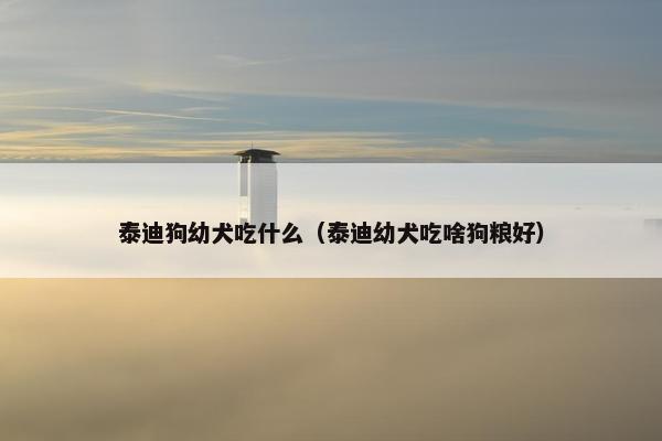 泰迪狗幼犬吃什么（泰迪幼犬吃啥狗粮好）