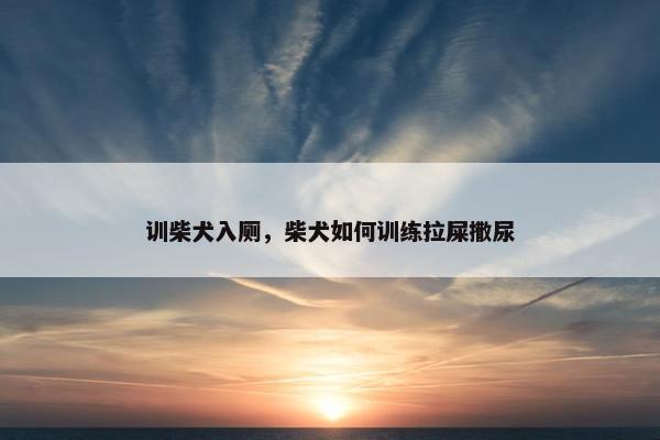 训柴犬入厕，柴犬如何训练拉屎撒尿