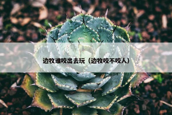 边牧谁咬出去玩（边牧咬不咬人）