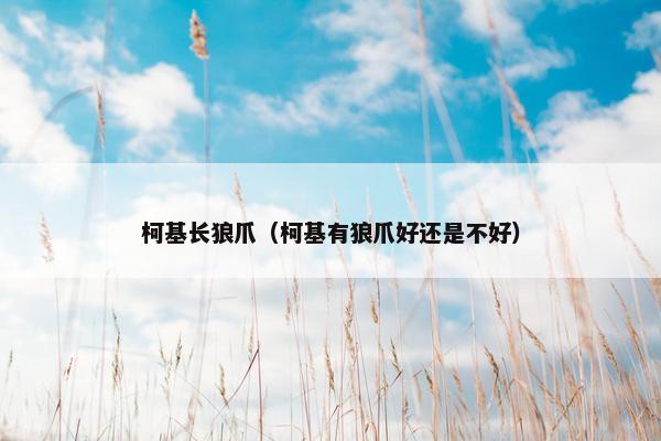 柯基长狼爪（柯基有狼爪好还是不好）