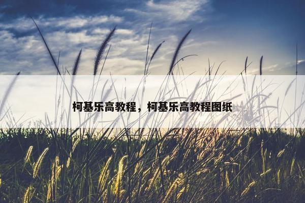 柯基乐高教程，柯基乐高教程图纸